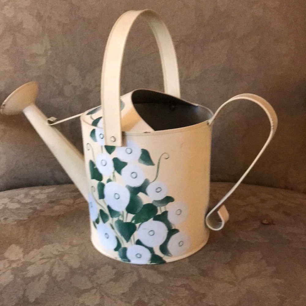 Tin Watering Can